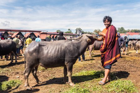 Foto de Rantepao, indonesia. 10 de abril de 2023: los búfalos están expuestos a la venta en el mercado de rantepao - Imagen libre de derechos