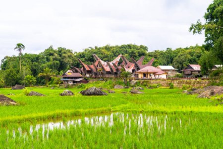 Foto de Tongkonan son las casas tradicionales en toraja tierra principal - Imagen libre de derechos
