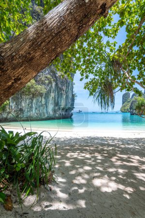 Foto de Hermosa playa en Krabi, Tailandia - Imagen libre de derechos