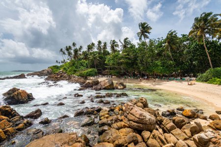 Photo for Panoramic view of mirissa beach, sri lanka - Royalty Free Image