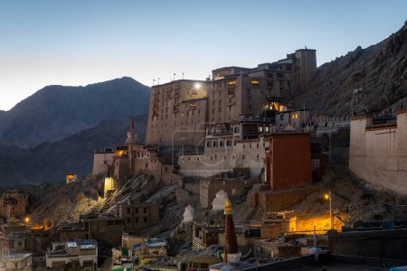 views of leh palace at leh ladakh city, india