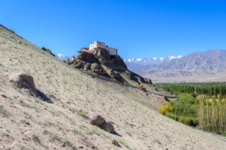 vue sur leh ladakh palais en Inde