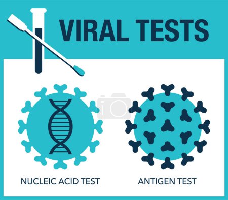 Illustration for Viral tests - NAAT and Antigen. Comparsion table for visual aids - Royalty Free Image