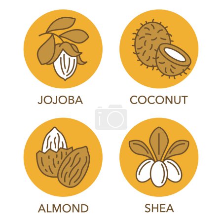 Essential oils icons in thin line and yellow circles - coconut, shea, jojoba and almond