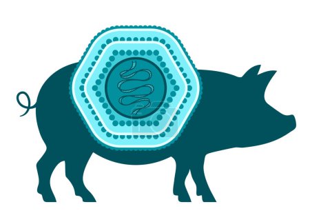 Illustration for African swine fewer virus icon - with pig silhouette and virus scheme. Isolated vector illustration - Royalty Free Image