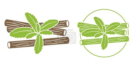Licorice root - ingredient of food supplement or skincare - dark spots whitening. Isolated vector pictogram