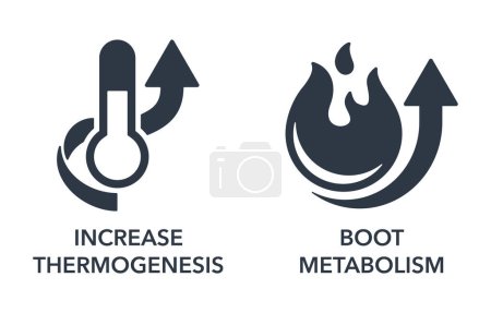 Ilustración de Aumentar la termogénesis y aumentar el metabolismo conjunto de iconos planos. Para suplementos de nutrientes - Imagen libre de derechos
