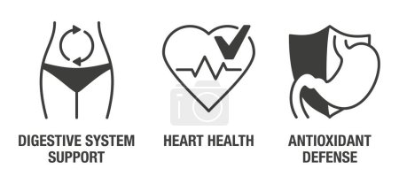Ilustración de Apoyo al Sistema Digestivo, Salud del Corazón, Defensa Antioxidante - iconos planos para suplementos de nutrientes - Imagen libre de derechos