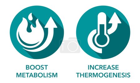 Ilustración de Aumentar la termogénesis y aumentar el metabolismo iconos con sombras largas. Para suplementos de nutrientes - Imagen libre de derechos