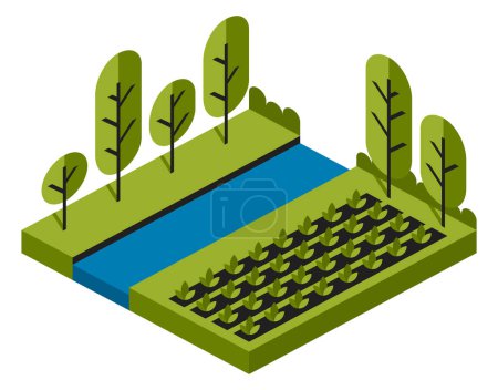 Illustration for Agroforestry - land use with intentional combination of agriculture and forestry to get greatly enhanced yields, increased biodiversity, improved soil health and reduced erosion - Royalty Free Image
