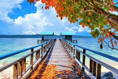 Photo for Beautiful scene of wooden pier above coral reef  - Arborek village,  Raja Ampat, West Papua, Indonesia - Royalty Free Image