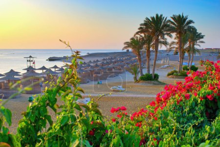 Idyllischer Strand mit Palmen und Sonnenschirmen am Roten Meer, Ägypten