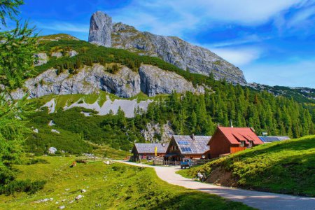 Pâturage de montagne dans la région de Tauplitzalm, Autriche avec forêt et cabanes de montagne