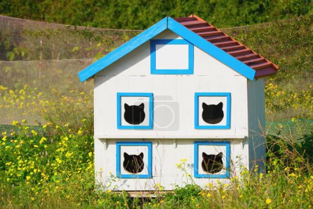 Outdoor cat house and shelter in the garden