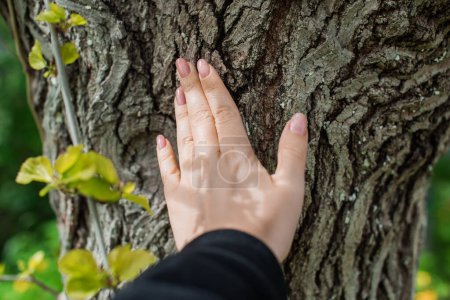 Hände an einem Baum. Sinkende Naturenergie, Verbindung mit einer Seele. Spirituelle Praxis