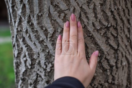 Hände an einem Baum. Sinkende Naturenergie, Verbindung mit einer Seele. Spirituelle Praxis