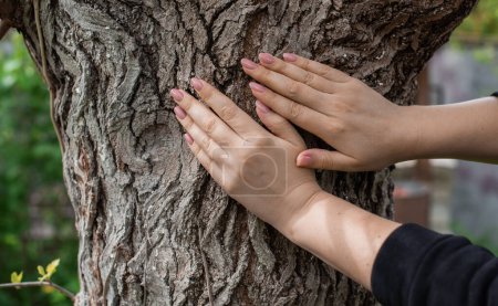 Téléchargez les photos : Mains sur un arbre. Élimination de l'énergie de la nature, connexion avec une âme. Pratique spirituelle - en image libre de droit