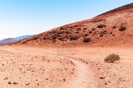 Ein kurvenreicher Pfad durch ein Wüstengebiet aus rotem Vulkangestein vor dem Hintergrund von Bergen und einem klaren blauen Himmel. Ein einsamer Busch inmitten der Prärie. Teide Nationalpark, Teneriffa