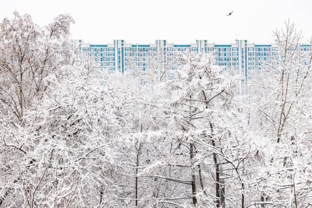 Mit Schnee übersäte Bäume blockieren ein blaues Mehrfamilienhaus 