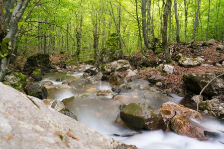 Foto de La corriente de agua en el río que fluye entre las rocas en Prokletije, Montenegro. - Imagen libre de derechos