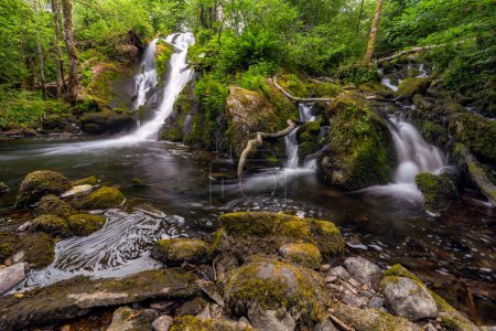 Téléchargez les photos : Une cascade dans les bois avec de la mousse et des roches - en image libre de droit