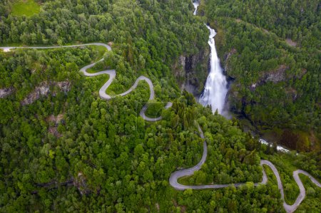Téléchargez les photos : Une route sinueuse au milieu d'une forêt - en image libre de droit