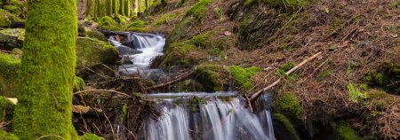 Téléchargez les photos : Une petite cascade dans une forêt avec mousse - en image libre de droit