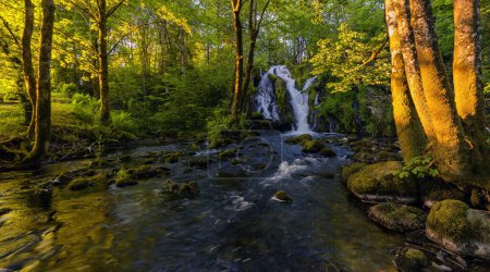 Téléchargez les photos : Une cascade dans une forêt avec des roches moussues - en image libre de droit
