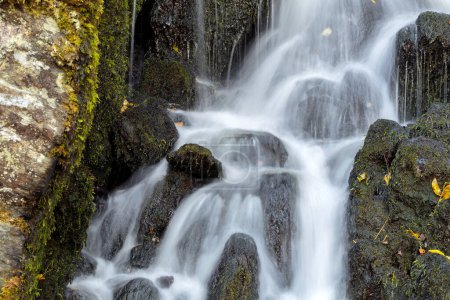 Téléchargez les photos : Une cascade avec quelques rochers et feuilles - en image libre de droit