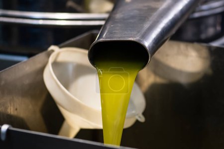 Photo for Fresh extra virgin olive oil pouring into tank at a cold-press factory after the olive season harvesting - Royalty Free Image