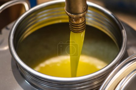 Foto de Aceite de oliva virgen extra fresco vertiendo en el tanque en una fábrica de prensas frías después de la cosecha de la temporada de aceitunas - Imagen libre de derechos