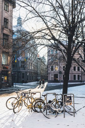 Téléchargez les photos : Riga, Lettonie - 20 novembre 2022 : Vieux vélos attachés à une chaîne et casiers couverts de neige en hiver dans la vieille ville de Riga, Lettonie, verticale - en image libre de droit