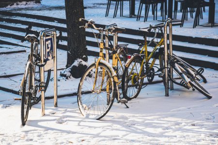 Téléchargez les photos : Riga, Lettonie - 20 novembre 2022 : Vieux vélos attachés à une chaîne et casiers couverts de neige en hiver - en image libre de droit