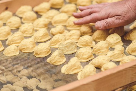Photo for Hand of a local elderly woman selling fresh big orecchiette or orecchietta, handmade pasta made with durum wheat and water, typical of Puglia or Apulia, a region of Southern Italy, close up - Royalty Free Image