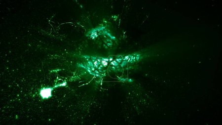 Téléchargez les photos : Rotating Abstract Energetic Green Glowing Particle Nucleus showcase Background. Illustration 3D abstraite de fond de boucle pour les biocarburants et les piles à combustible alimentées aux algues dans la production d'énergie photosynthétique - en image libre de droit