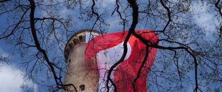 Téléchargez les photos : STATE FLAG - Flag of Poland at the lighthouse in Swinoujscie - en image libre de droit