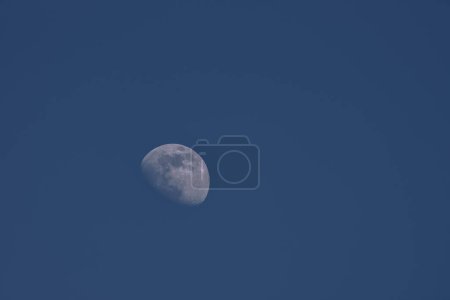 Photo for MOON - Earth satellite on the background of blue sky - Royalty Free Image
