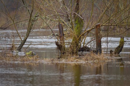 FLOOD - Überflutete Flusstäler und Wiesen nach dem Regen