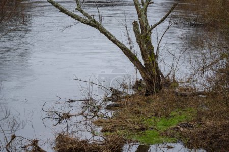 FLOOD - Valle del río inundado y prados después de las lluvias