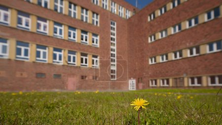 Photo for SPRING AND ARCHITECTURE - A yellow dandelion flower against the background of a brick building in a modernist style - Royalty Free Image