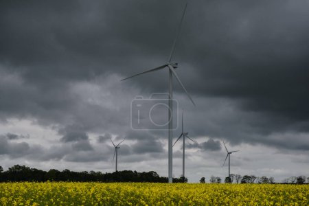 Foto de AGRICULTURA Y PREVISIÓN DE VIENTO - Dramáticas nubes de lluvia negra sobre molinos de viento - Imagen libre de derechos
