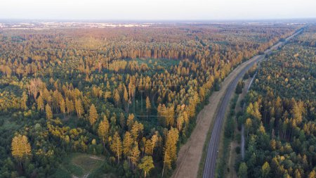 Foto de Tren de vías férreas junto a un bosque y campo. Vista aérea superior del sistema de trenes alemán cerca de Munich - Imagen libre de derechos
