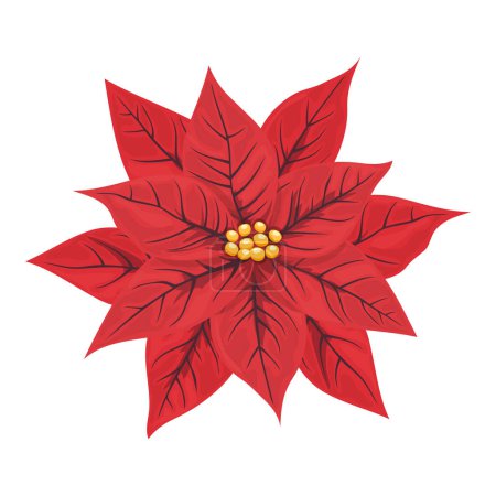 Red Christmas or New Year poinsettia flower. Isolated floral decor for greeting card design, invitation, holiday background. Vector illustration.