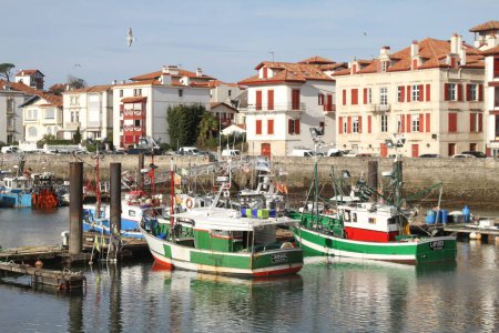 Téléchargez les photos : Port de Bayonne avec petits bateaux de pêche, Bayonne, Pyrénées atlantiques, France - en image libre de droit