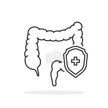 Illustration for Thin line black shield with human intestines icon. simple linear graphic web element isolated on white. logotype design of healthy gut sign or internal organ of human digestive system pictogram - Royalty Free Image