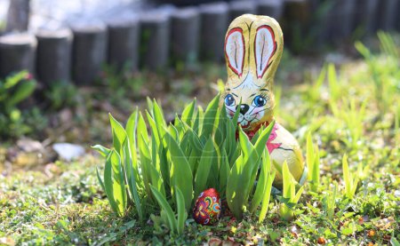 Photo for Easter egg hunt. Colorful Easter eggs and the Easter bunny are hidden in the garden and flower beds among the flowers, trees and gravel paths. Holiday traditions. Easter card, banner. Selective focus - Royalty Free Image