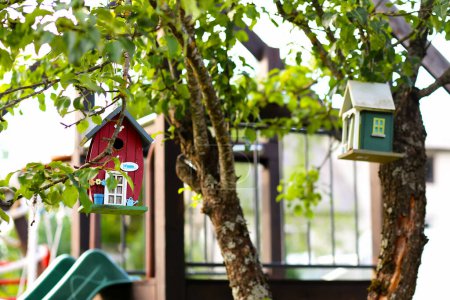 Foto de Casa de pájaros azul madera en un manzano en el jardín. Diseño simple? ute pajarera. Refugio para la cría de aves, decoración de jardines - Imagen libre de derechos
