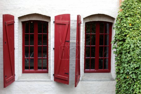 Zwei polierte Fenster an der weißen Wandfassade mit offenen roten Fensterläden und Efeu