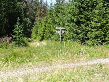 Photo for Direction sign at a hiking trail junction - Royalty Free Image