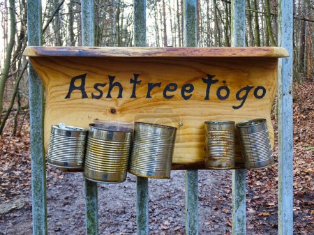 Photo for Closeup shot of metal cans as ashtrays stuck on a wooden board in a park against forest fires - Royalty Free Image